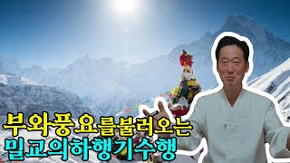 밀교수행자는 하행기 수행을 통해 풍요하게 살수 있다  고정환박사제 900강 [upl. by Martijn]