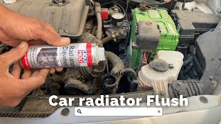 Car Radiator Flush  Liqui Moly Radiator Cleaner [upl. by Annabel]