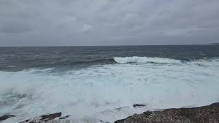 Coogee Bondi trail Sydney Australia Oct 2024 [upl. by Mallon884]