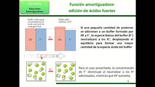 Soluciones amortiguadoras buffer  Función y cálculos simples [upl. by Nollek]