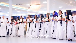 Mahsun Ciziri  Roni amp Diman  Part06  4K  Ross Deko  kurdischehochzeit MirVideoProduction ® [upl. by Zebulon]