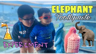 ELEPHANT TOOTHPASTE EXPERIMENT  FUN SCIENCE [upl. by Maurili]