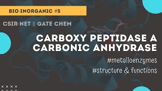 Carboxy peptidase A  carbonic anhydrase  bioinorganic Chemicos academy [upl. by Innep]