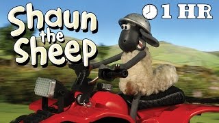 Shaun the Sheep Season 1  Episodes 2130 1 HOUR [upl. by Tybi]