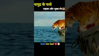 समुद्र में फसे लड़का और भूखा शेर🐯Hollywood Movies explain shorts tiger hindi shorts [upl. by Aracat]