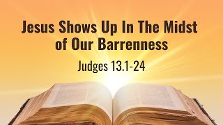 Christophanies  Part 11  Jesus Shows Up In The Midst of Our Barrenness [upl. by Zaria]