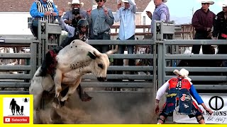 Bull Riding Section 1  2022 Champions Challenge Xtreme Roughstock [upl. by Sseb]