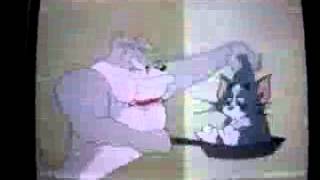 Las Aventuras de Tom y Jerry Intro Latino small [upl. by Kcirde819]