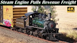 Steam Train Pulls Revenue Freight in 2023 WITH SWITCHING 4K  SMV 205 of the AERC  July 3 2023 [upl. by Elroy]