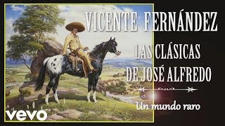 Vicente Fernández  Un Mundo Raro  Cover Audio [upl. by Sachs348]