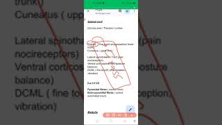 Spinal Cord Physiology Neuroanatomy Tracts  Pathology [upl. by Erreit]