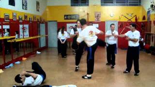 WING CHUN BIRIGUI IDAO [upl. by Llehcar]