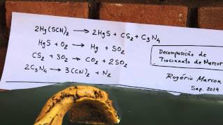 Mercury Thiocyanate decomposition  Pharaohs serpent [upl. by Loesceke333]