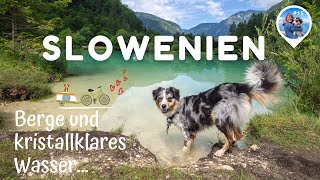 Mit EBike und Hund durch Europa 15  Kranjska Gora bis Bled Slowenischer Rourenradweg Slowenien [upl. by Crabb]