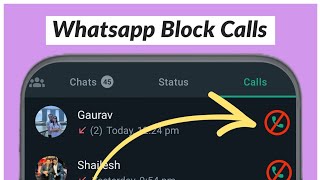 How to Disable WhatsApp Calls  New Setting [upl. by Chrisoula425]