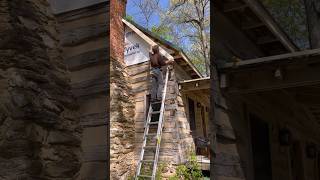 FRAMING SOFFIT amp FASCIA framing soffit fascia logcabins cabin details ladder work me go [upl. by Tybald]