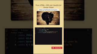 How to Create an Image Slider Using HTML CSS amp JavaScript  StepbyStep Tutorial [upl. by Farris]