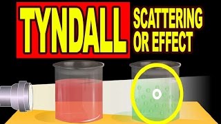 Tyndall Scattering or Tyndall Effect  Video Explanation [upl. by Sikes582]