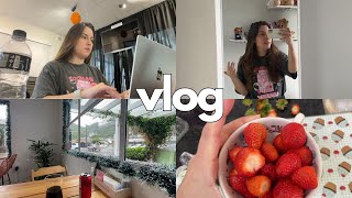 work vlog cozinhando skin care dorama e muita chuva [upl. by Garratt908]