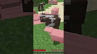 Gamer fleet walk minecraft youtubeshorts minecraftyoutubefeed [upl. by Carlota]