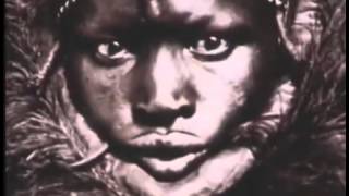 The Story of American Slavery  Documentary on How Slavery Dominated America Full Documentary [upl. by Viafore246]