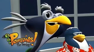 Wise Guys  321 Penguins Full Episodes  Kids Shows [upl. by Warren]