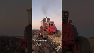 INTERNATIONAL 1566 Tractor Plowing bigtractorpower internationalharvester tractor caseih plow [upl. by Pace675]