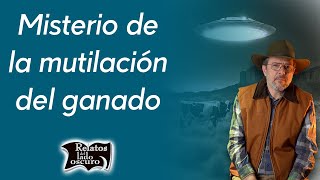 Misterio de la mutilación del ganado  Relatos del lado oscuro [upl. by Lapides903]