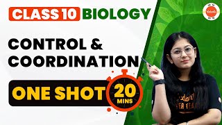 Control and Coordination Class 10 One Shot in 20 Mins  NCERT Biology Class10 Chapter 2  CBSE 2024 [upl. by Hoffert]