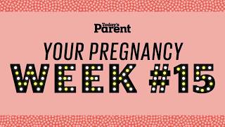 Your pregnancy 15 weeks [upl. by Orlosky]