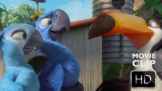 Rio 2 Movie CLIP  The Girl From Ipanema 2011 HD [upl. by Ecar]