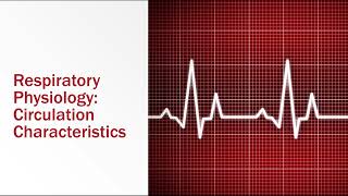 Respiratory Physiology Circulation Characteristics [upl. by Eittod]