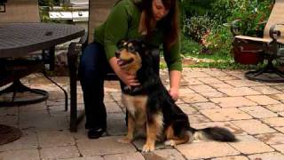 FURminator deShedding Tools for Dogs [upl. by Aileda]