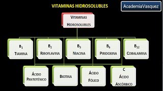 Vitaminas hidrosolubles Vitamina B3 o Niacina o Ácido nicotínico [upl. by Elolcin]