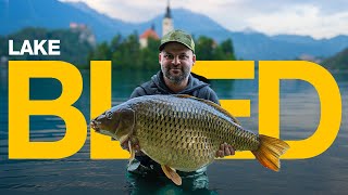 Unfinished Business  Lake Bled Carp Fishing [upl. by Nangatrad994]