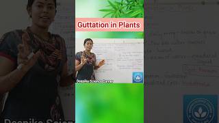 Guttation in Plants class10science deepikasciencecorner guttationinplants science biology [upl. by Dukey809]