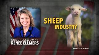 Renee Ellmers  Way Too Liberal for NC [upl. by Einyaj]