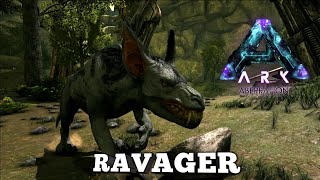 Taming A Ravager  Ark Survival Evolved  Aberration [upl. by Enyrb947]