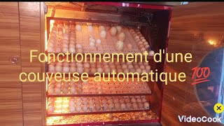 Comment fonctionne une couveuse automatique 💯 bennieagroltd agriculteursmodernes incubator [upl. by Chamberlain]