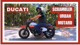 2023 DUCATI Scrambler Urban Motard FIRST RIDE amp REVIEW [upl. by Vanzant591]