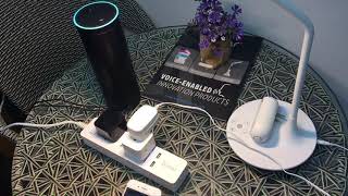 How to connect Amazon Alexa with Smart Life APP [upl. by Zeralda]