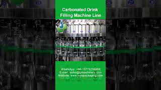 Carbonated Drink Filling Machine Line Carbonated Beverage Bottling Production Line Equipment  Luye [upl. by Otsuj]