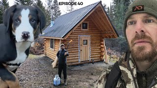 Log Cabin Build on OffGrid Homestead EP40 Woodshed Shou Sugi Fire Preservation [upl. by Claresta599]