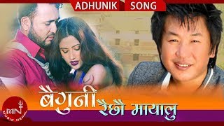 Rajesh Payal Rai  Baiguni Raichhau Mayalu FtShreedev amp Barsha  Nepali Adhunik Song 20182075 [upl. by Enneirdna]