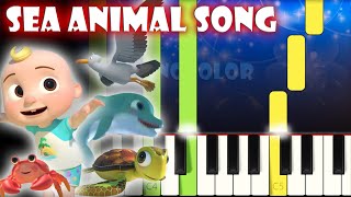 Sea Animal Song  Cocomelon Nursery Rhymes  Piano Tutorial  Karaoke [upl. by Dulcea]