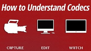 How to Understand Codecs [upl. by Dede]