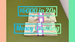 6000 in 20s cash money counting motivation life cashisking [upl. by Bohi571]