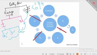 CELL DIVISION WITH PHASESPART 1 [upl. by Weide]