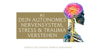 3 Stress Trauma amp dein autonomes Nervensystem [upl. by Cony]