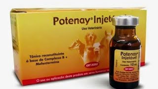 Potenay injetável em cães [upl. by Suzann110]